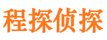 向阳侦探公司